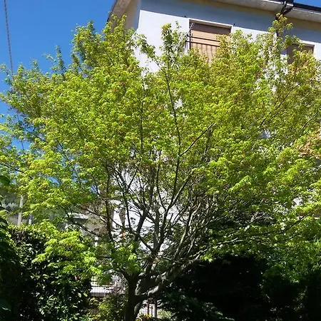 Apartman Rizzi House