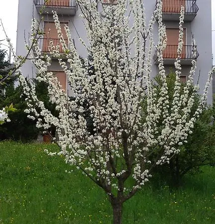 Rizzi House *